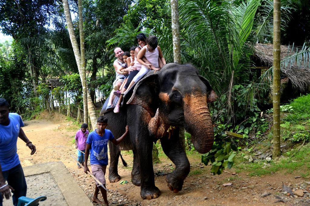 Basilico Homestay Kegalle Exteriér fotografie